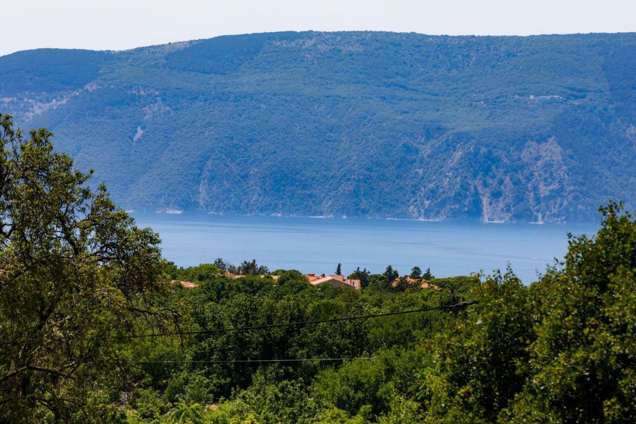 House - Villa Skyline Skrbčići Exteriör bild